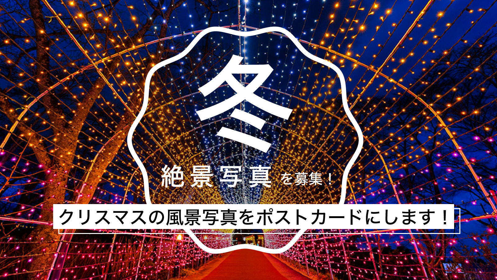 クリスマスの絶景写真