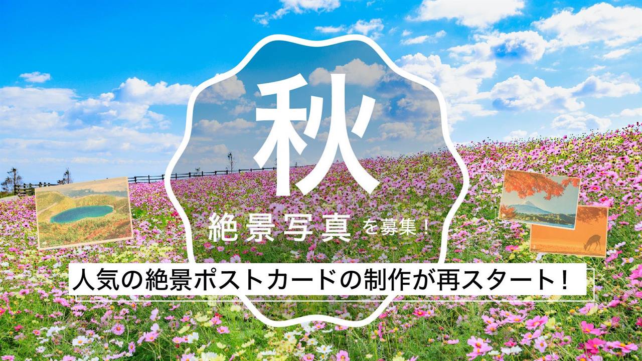 秋の絶景写真
