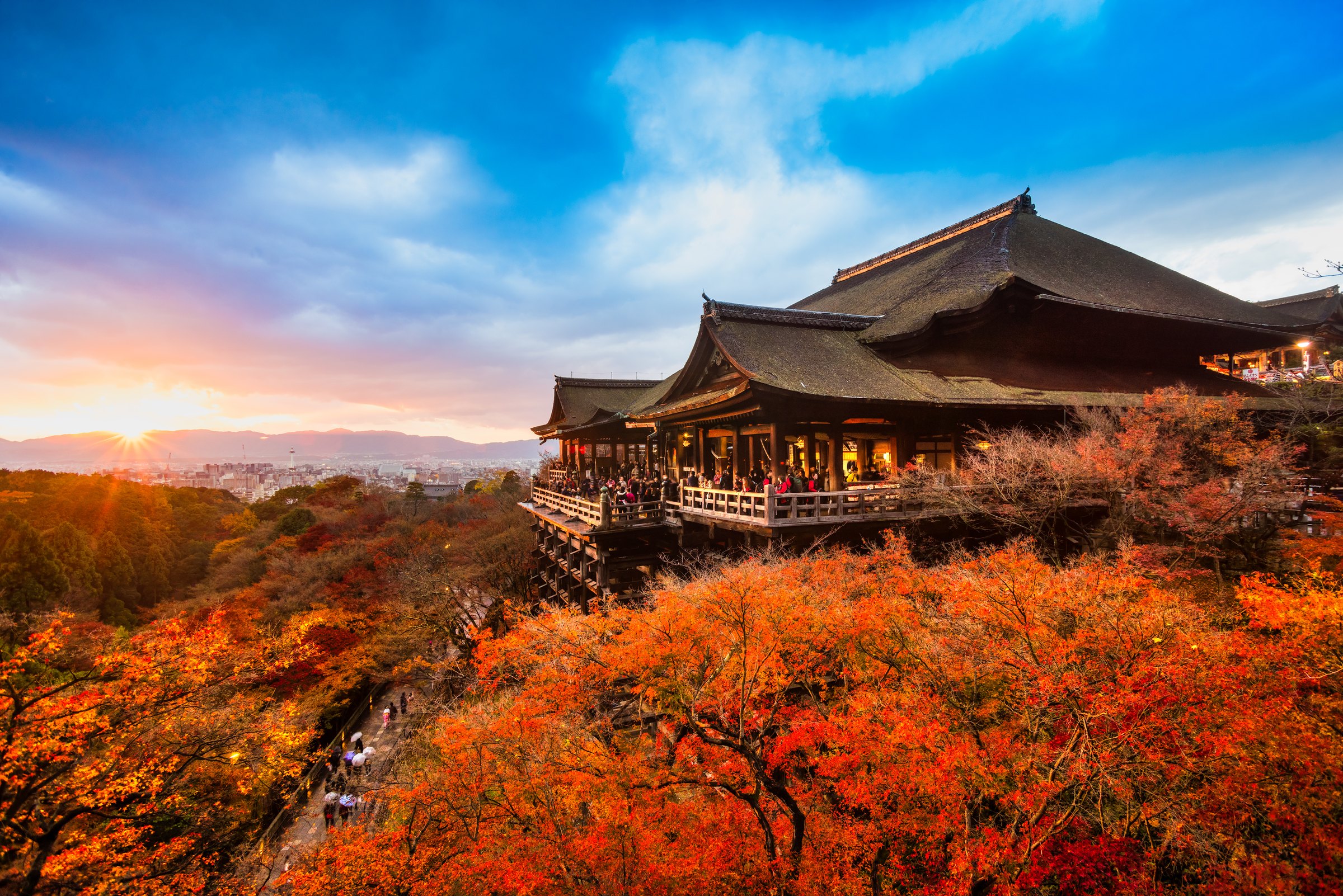 shutterstock_323217077